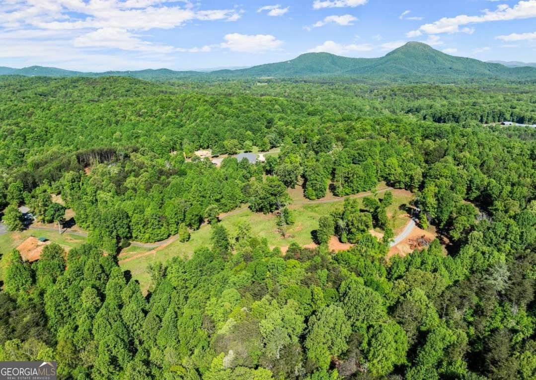 2239 Dean Mountain Road Cleveland - Photo 47