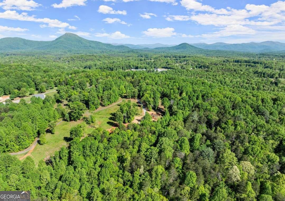 2239 Dean Mountain Road Cleveland - Photo 48