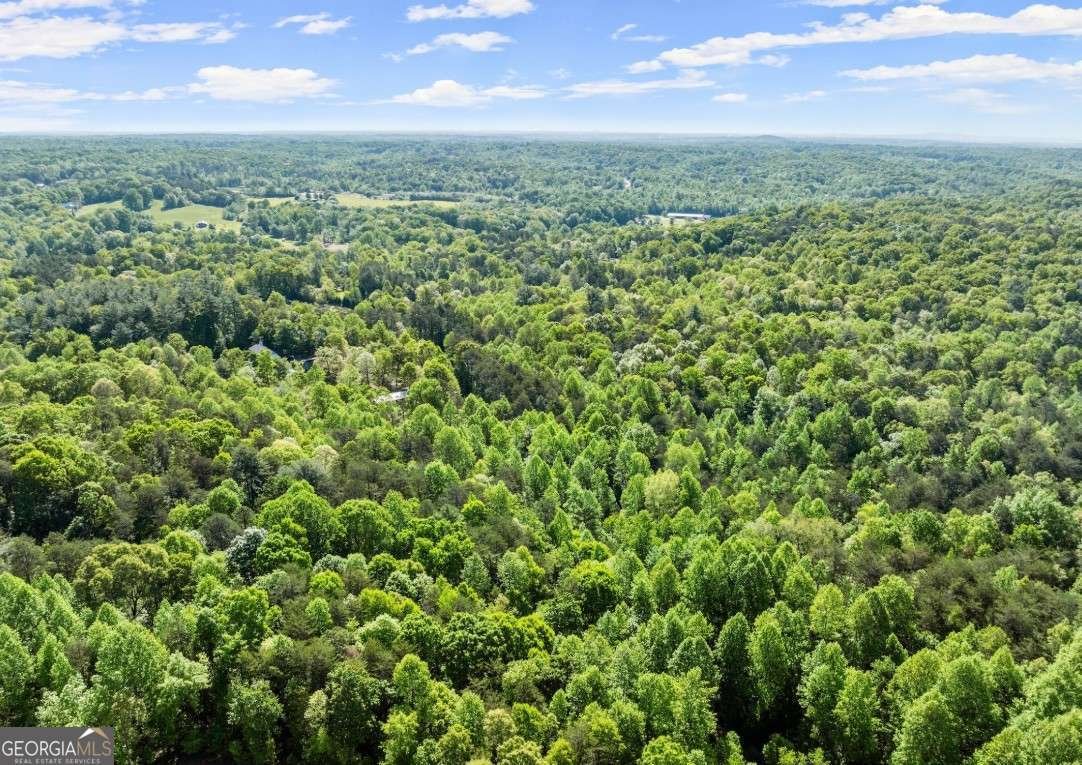 2239 Dean Mountain Road Cleveland - Photo 50