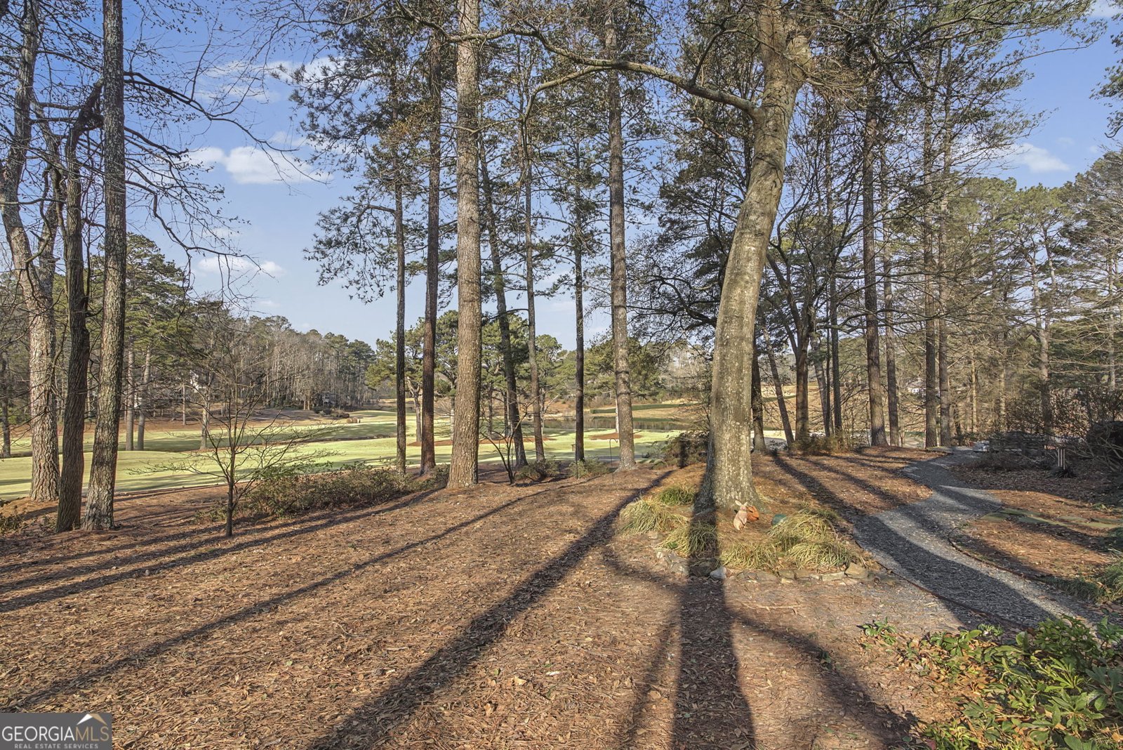 3 Deep Dene Newnan - Photo 45