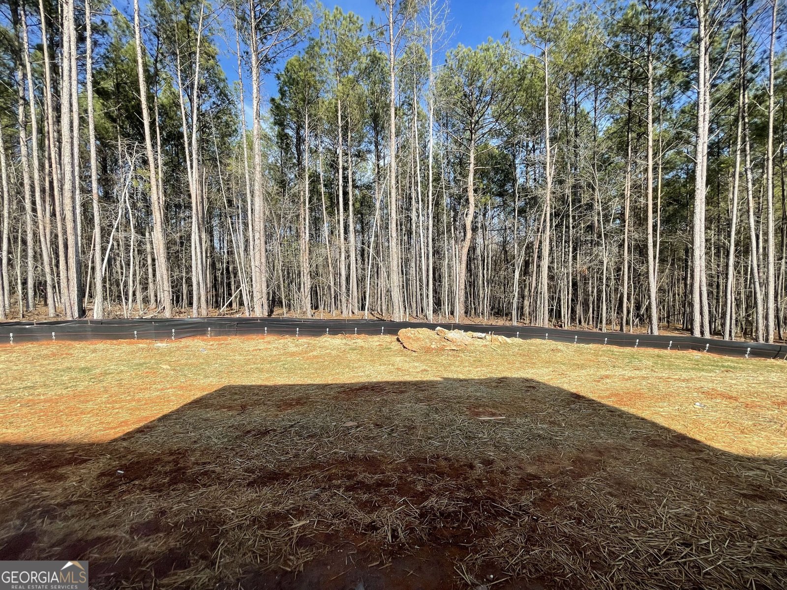 2325 New Hope Road Locust Grove - Photo 20