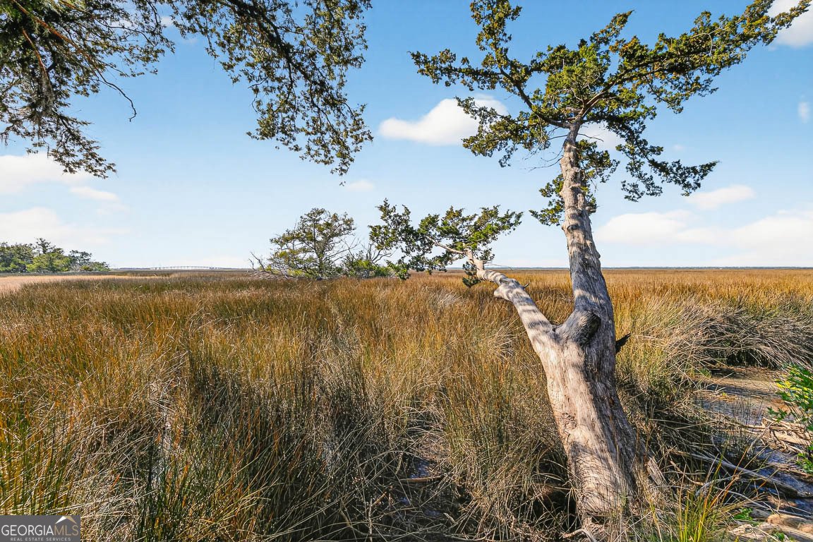 105 Hawkins Island Circle St. Simons - Photo 73