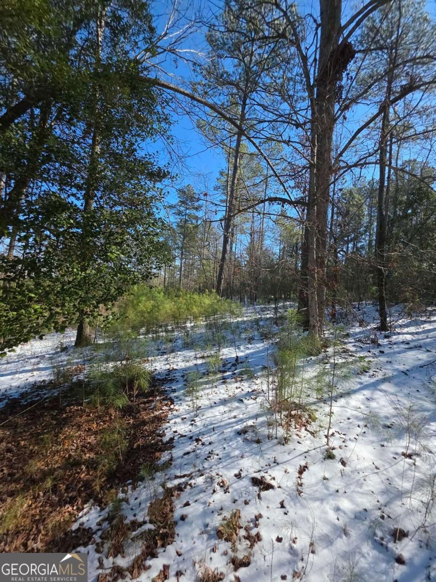 LOT 56 Hornets Bridge Drive Elberton - Photo 1