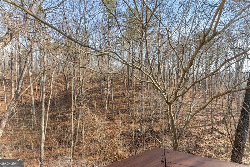 347 Norma Road Dawsonville - Photo 21