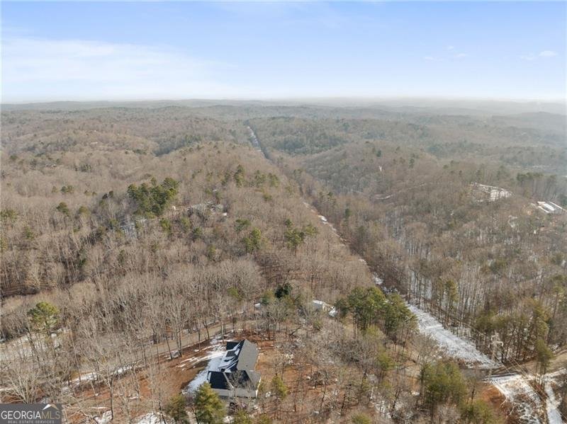 347 Norma Road Dawsonville - Photo 28