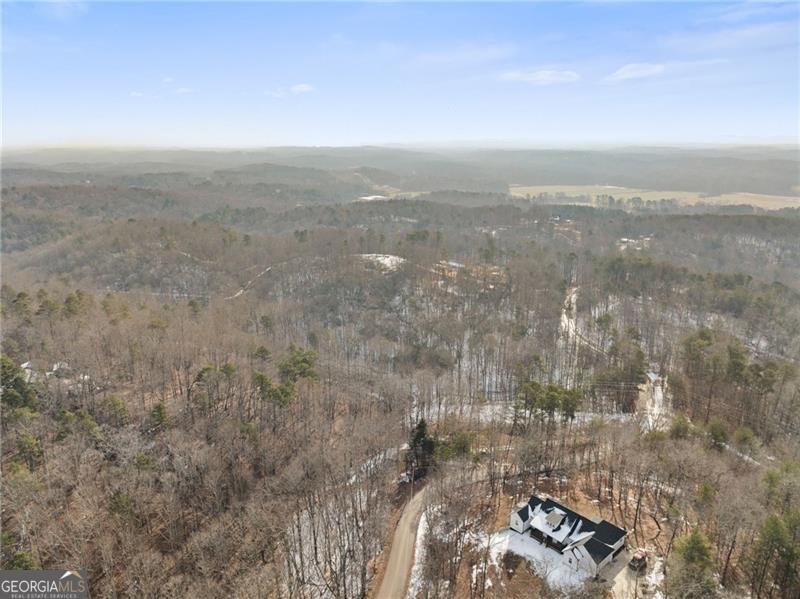 347 Norma Road Dawsonville - Photo 29