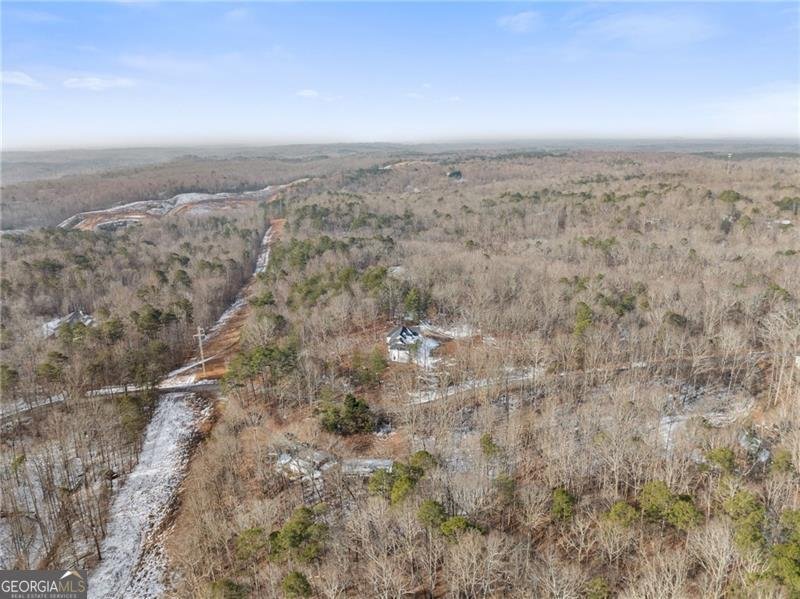 347 Norma Road Dawsonville - Photo 32