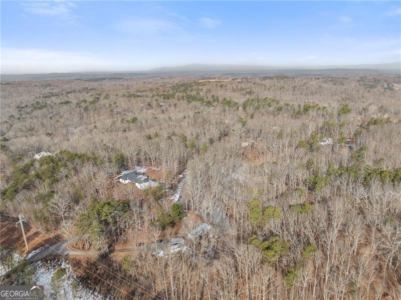 347 Norma Road Dawsonville - Photo 33