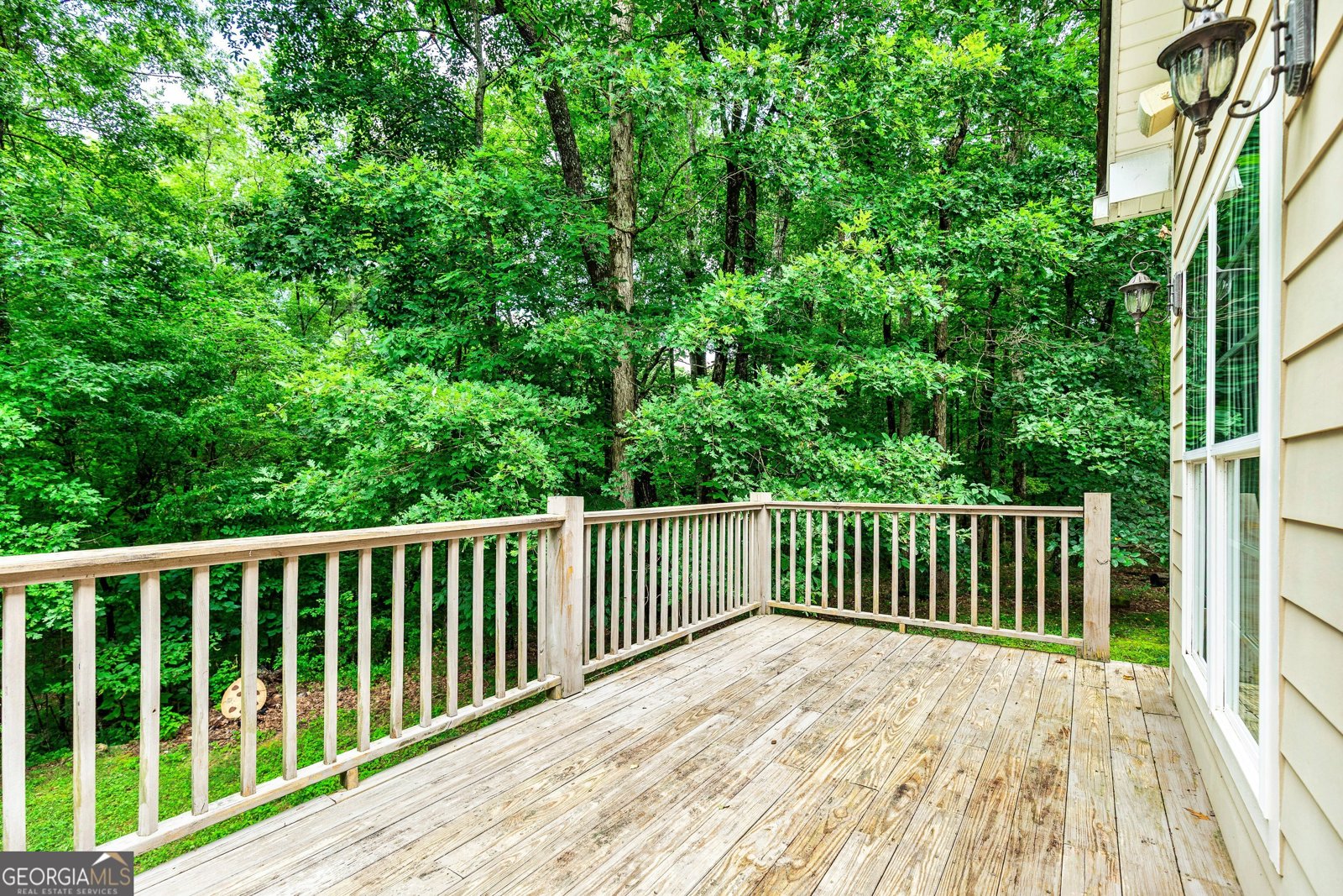 357 Shady Creek Trail Williamson - Photo 54