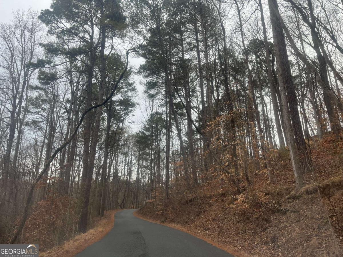 6955 Melody Ridge Road Buford - Photo 28