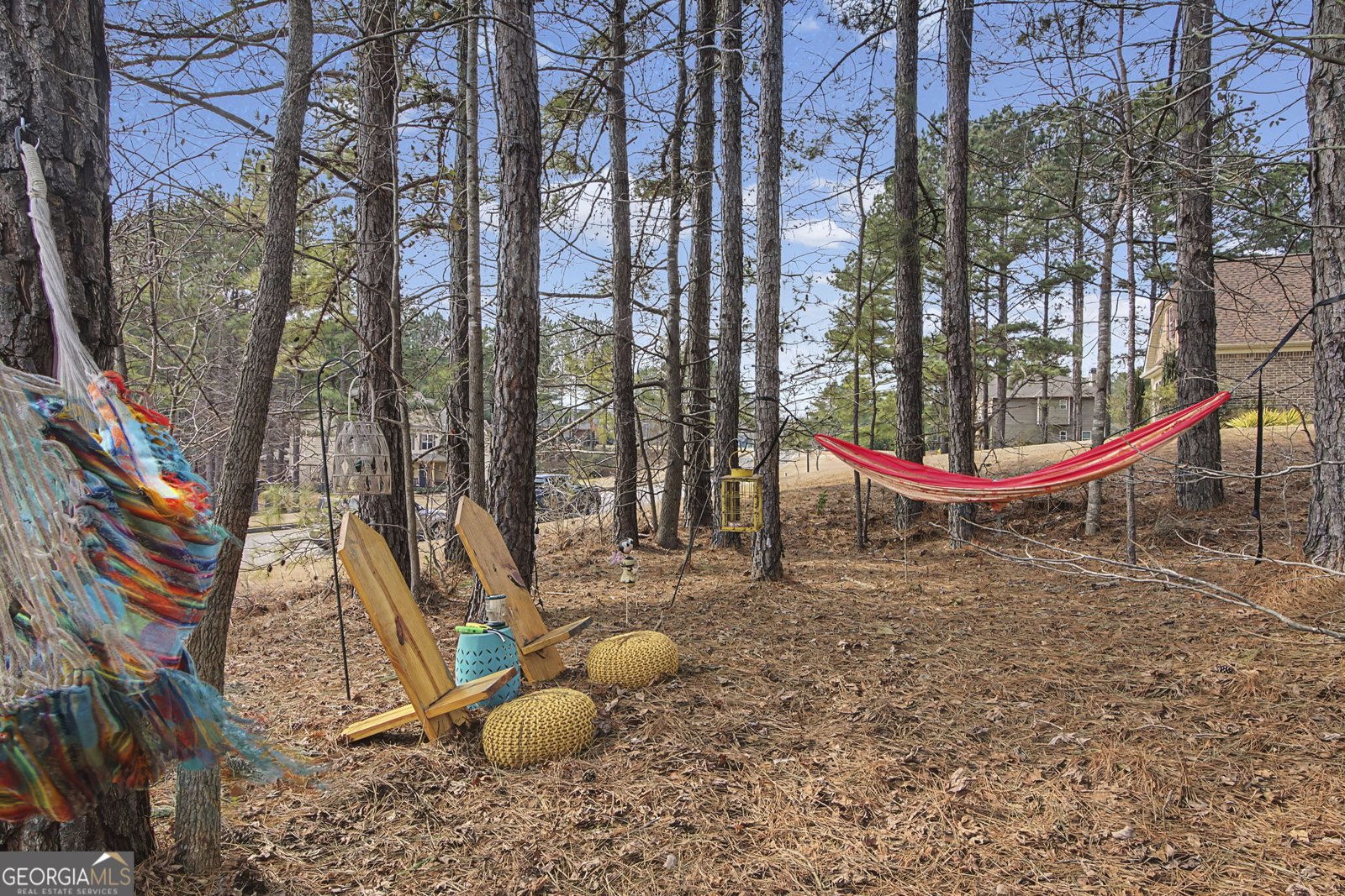 7 Harris Court Newnan - Photo 43