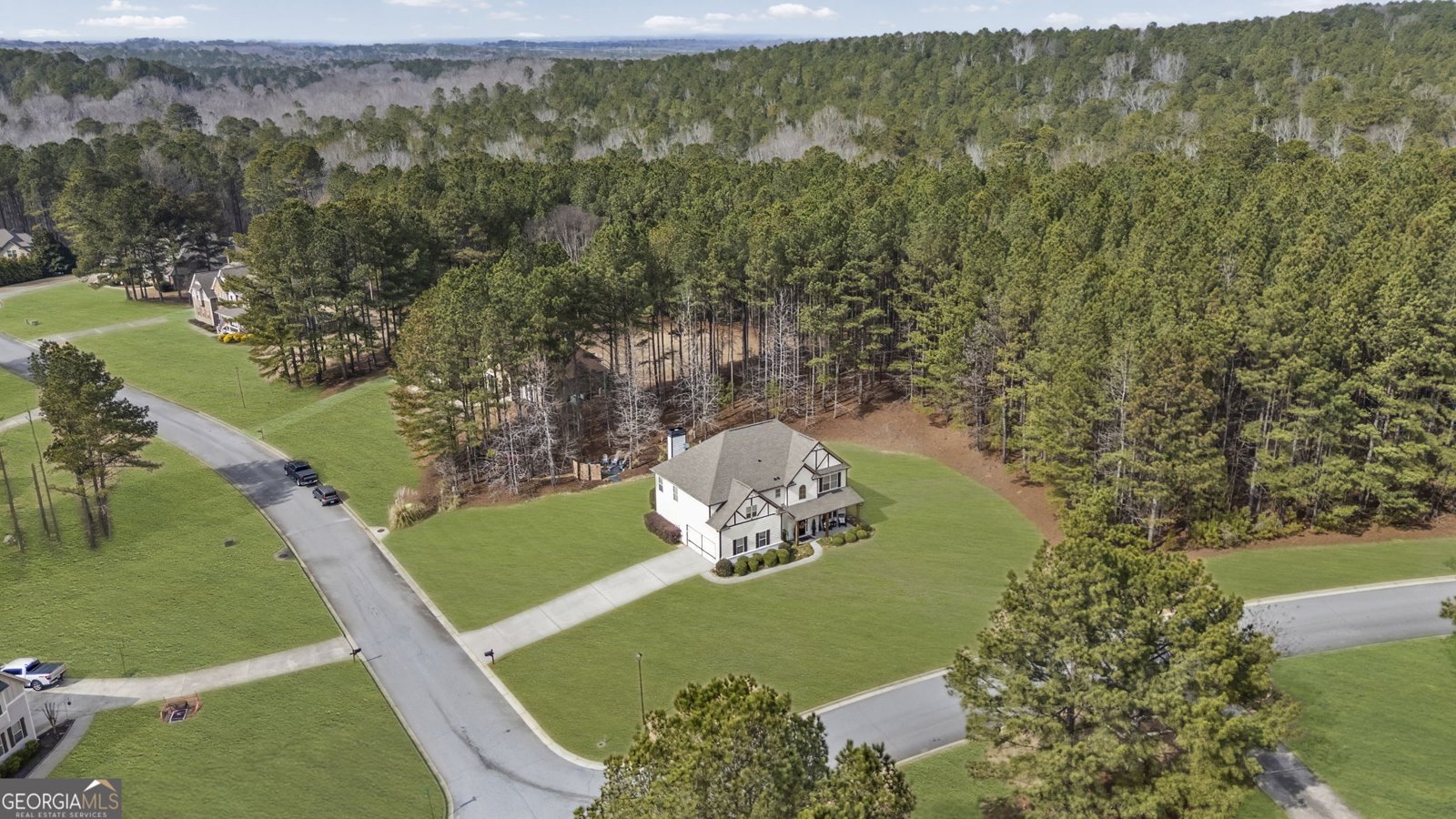 7 Harris Court Newnan - Photo 57