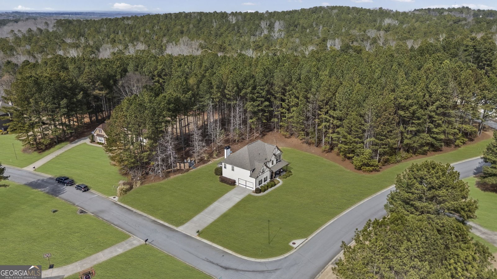 7 Harris Court Newnan - Photo 58