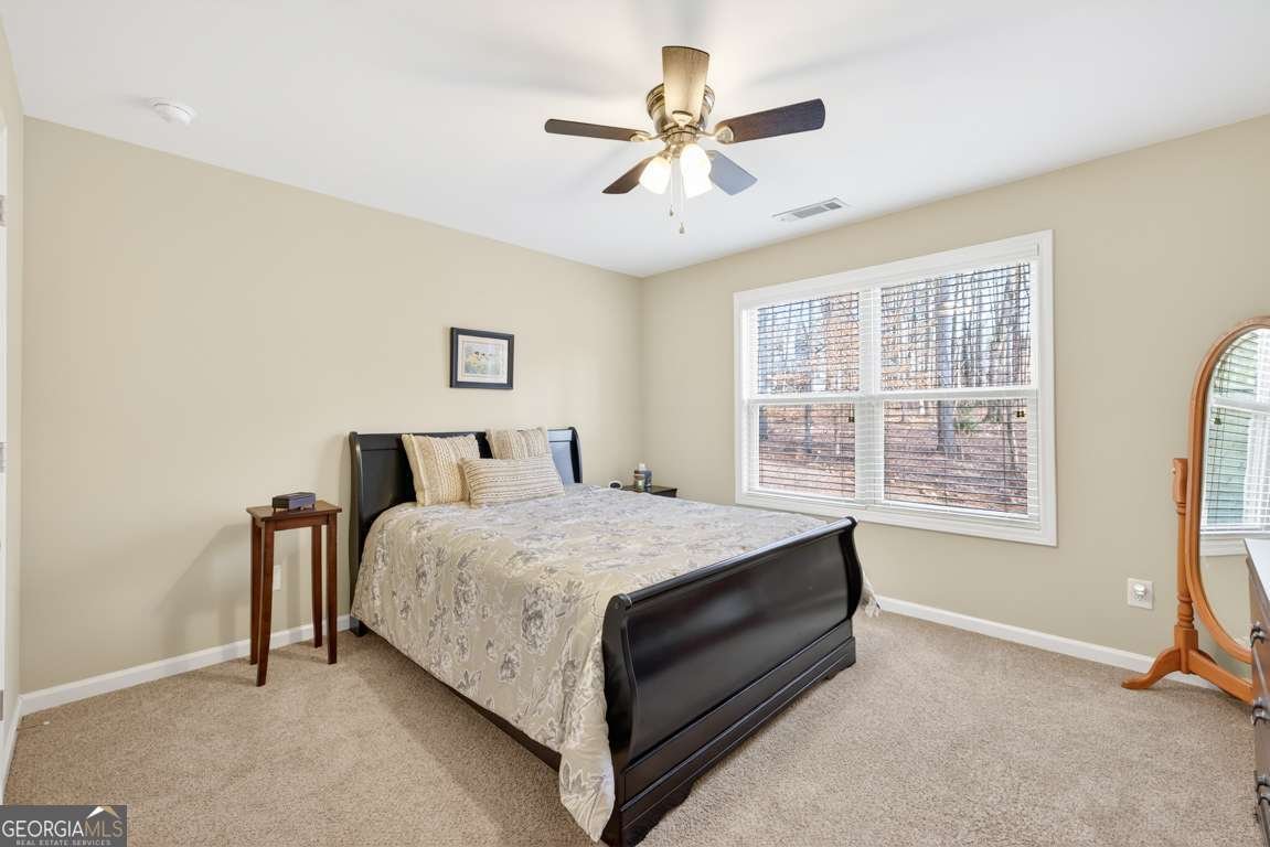 282 White Trillium Drive Hoschton - Photo 28