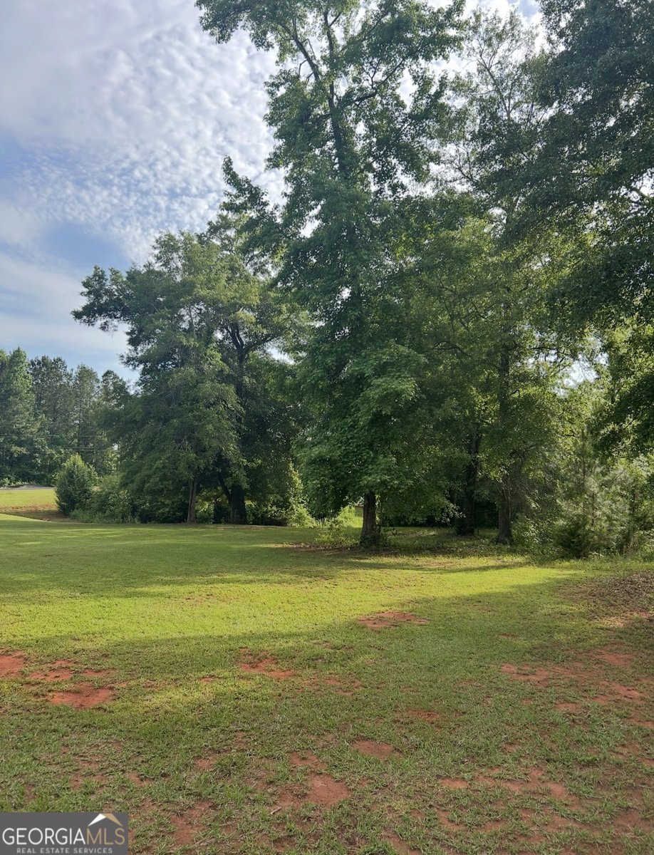 322 Pardue Drive Thomaston - Photo 36