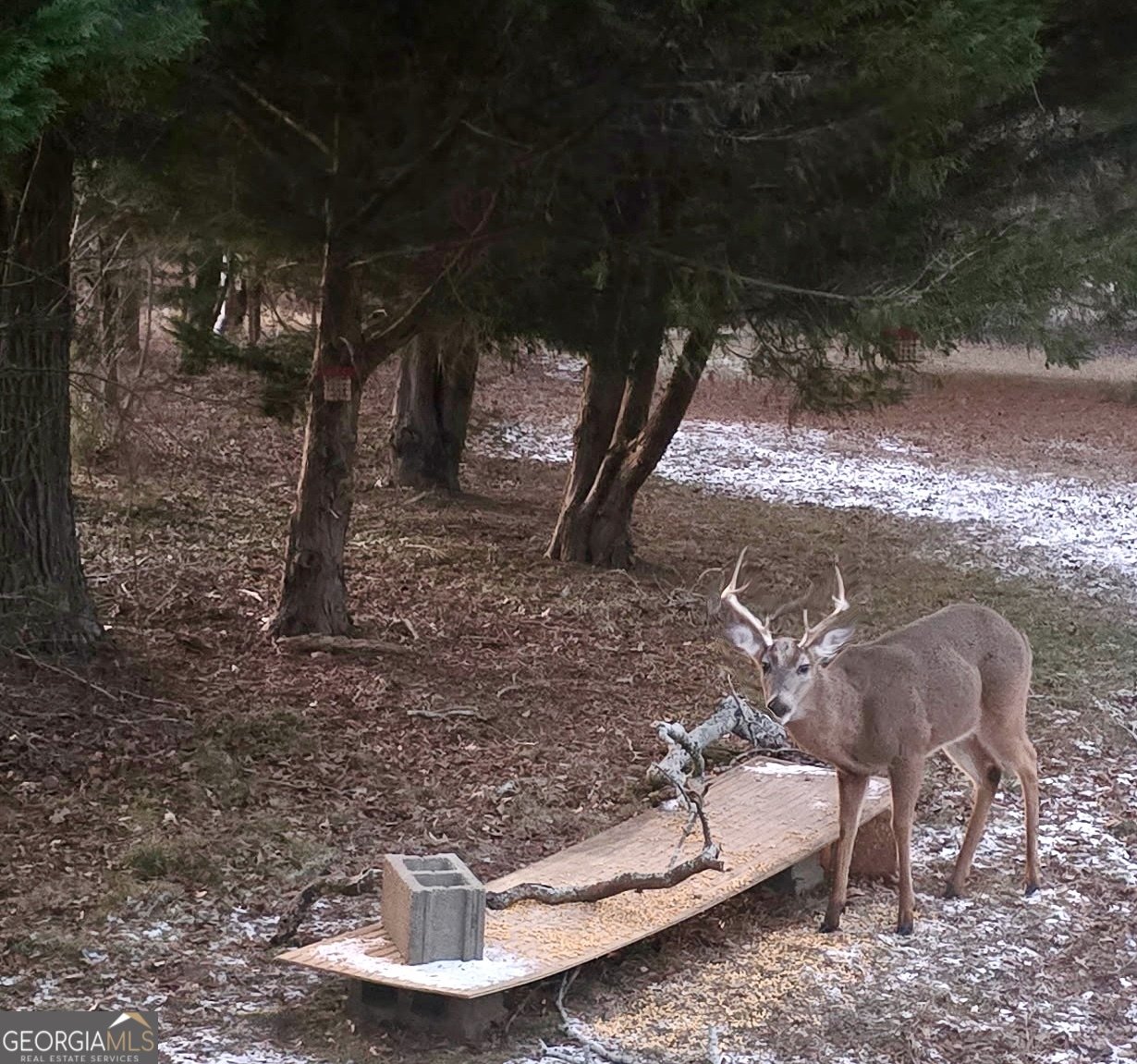 1584 Lexington Carlton Road Carlton - Photo 18