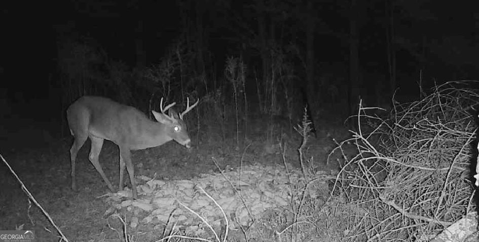 1584 Lexington Carlton Road Carlton - Photo 19