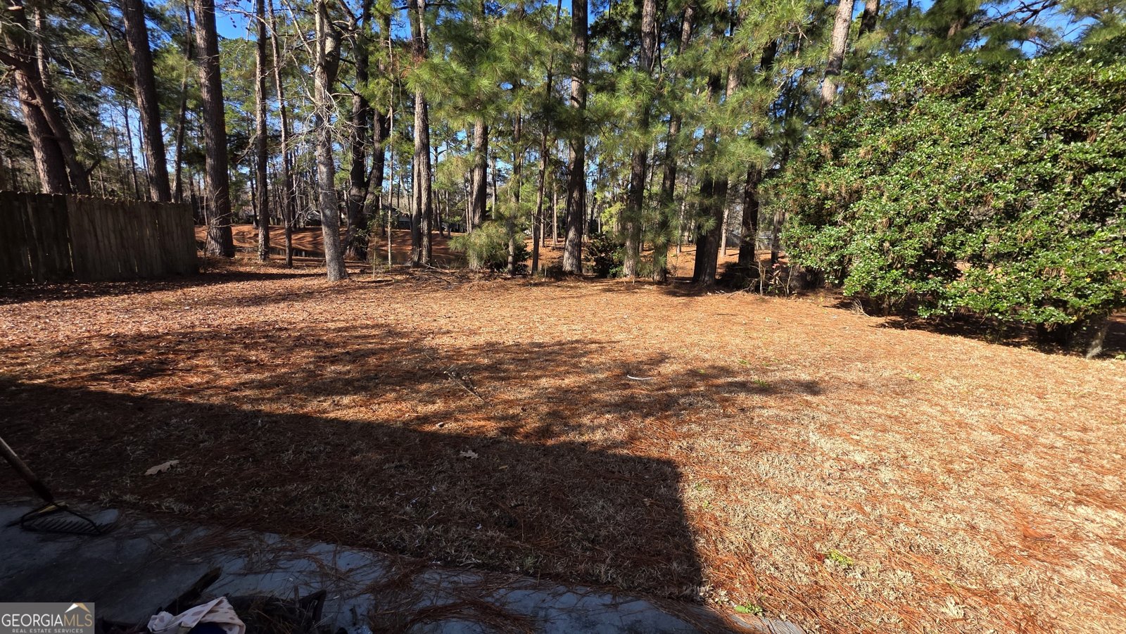 29 Bristlecone Drive Savannah - Photo 14