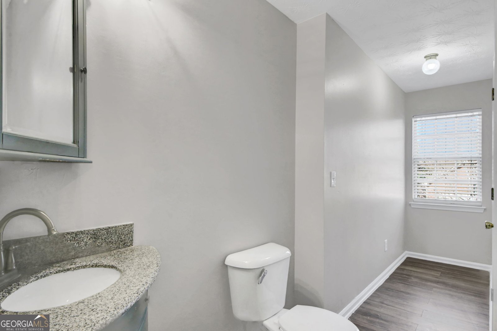 310 Parkview Place Drive McDonough - Photo 26