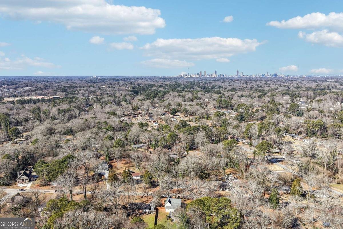 2226 Whites Mill Road Decatur - Photo 46