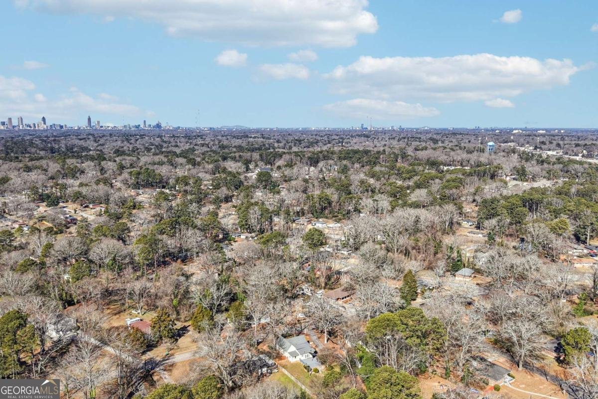 2226 Whites Mill Road Decatur - Photo 47