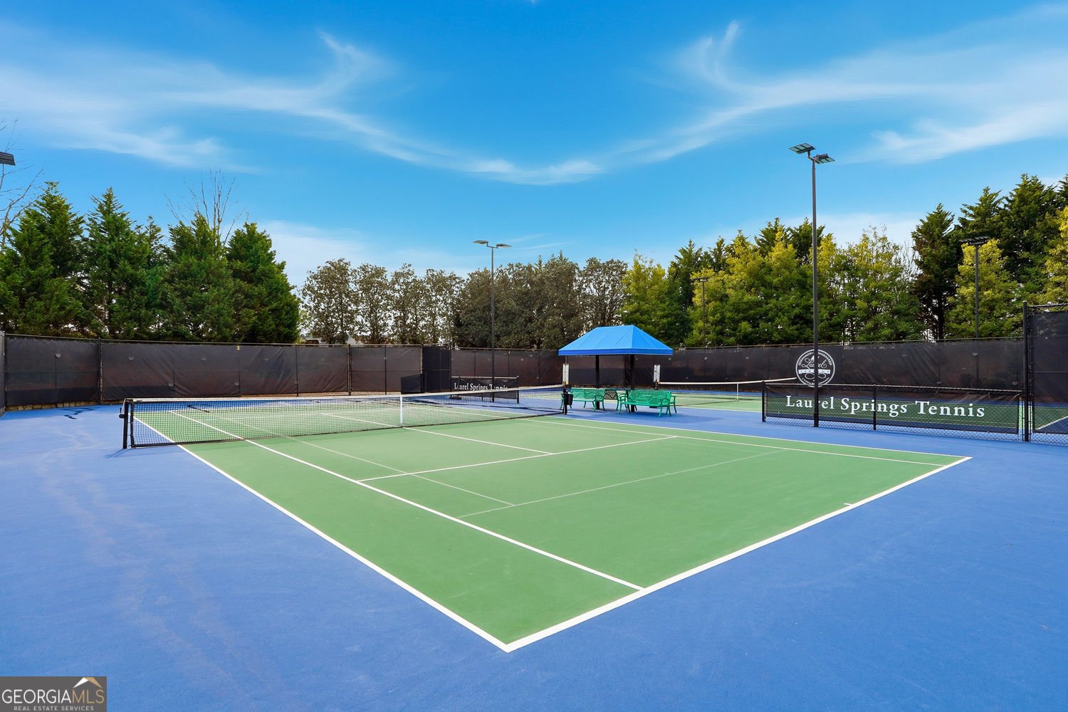 10150 Brixton Place Suwanee - Photo 67