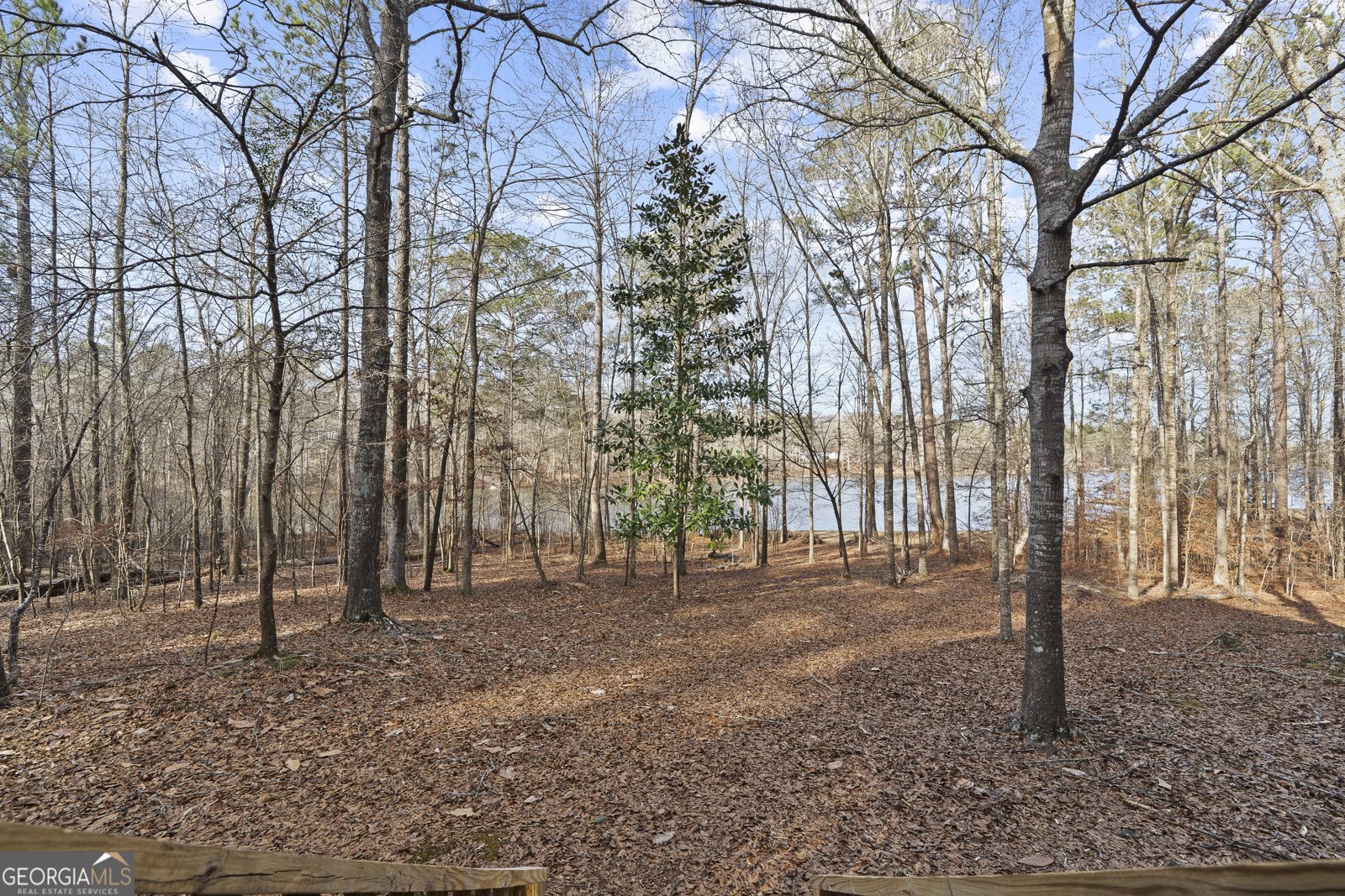 125 Lowe Road Milledgeville - Photo 43