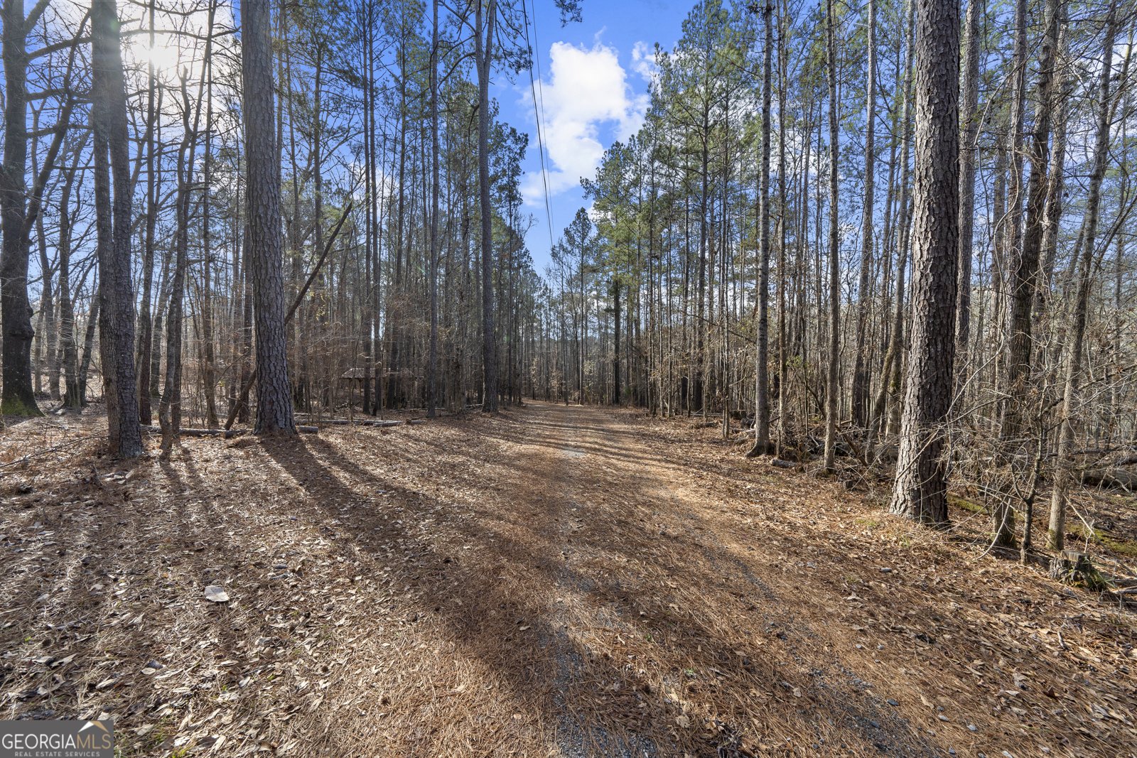 125 Lowe Road Milledgeville - Photo 54
