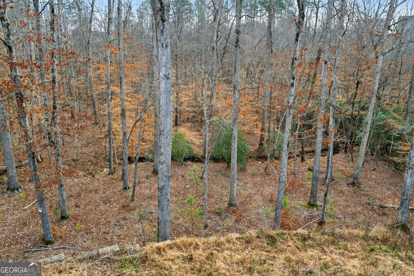 310 Pepperwood Way Canton - Photo 10