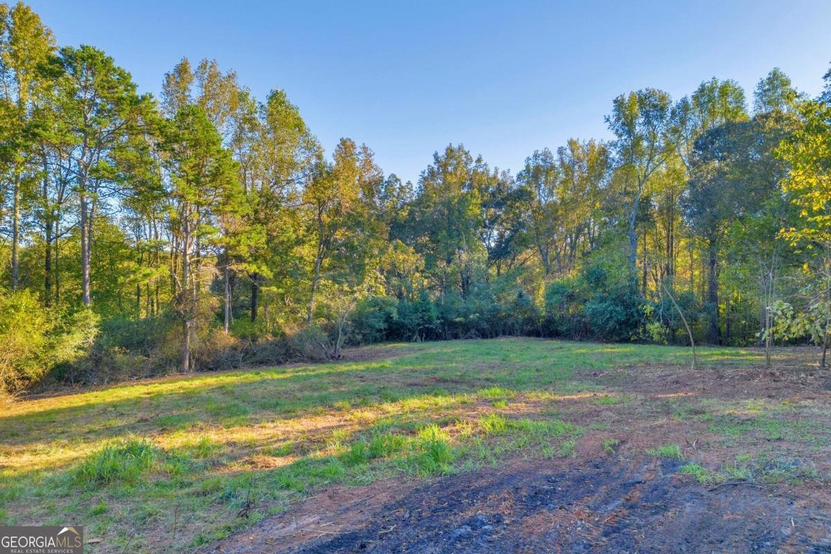 4638 Highway 63 Carnesville - Photo 11