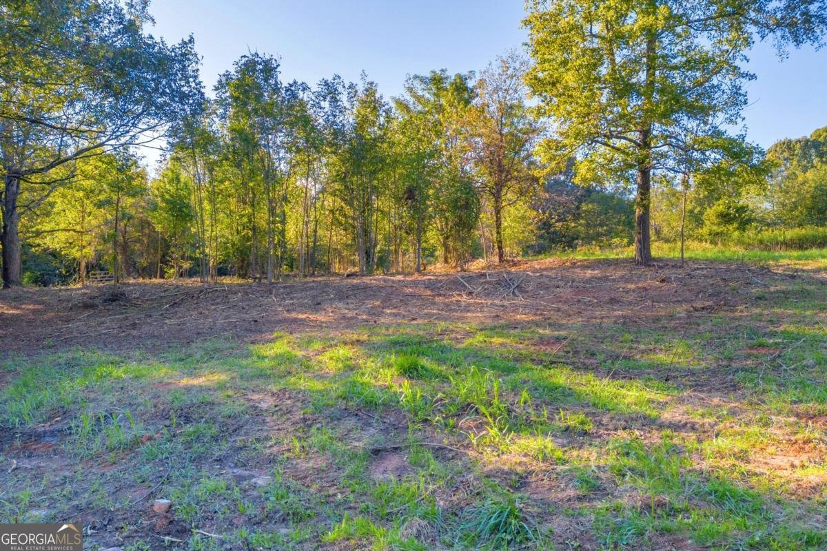 4638 Highway 63 Carnesville - Photo 12