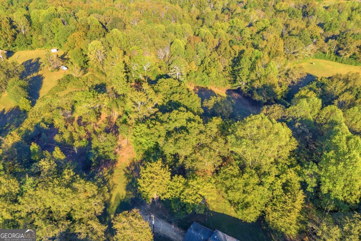 4638 Highway 63 Carnesville - Photo 13