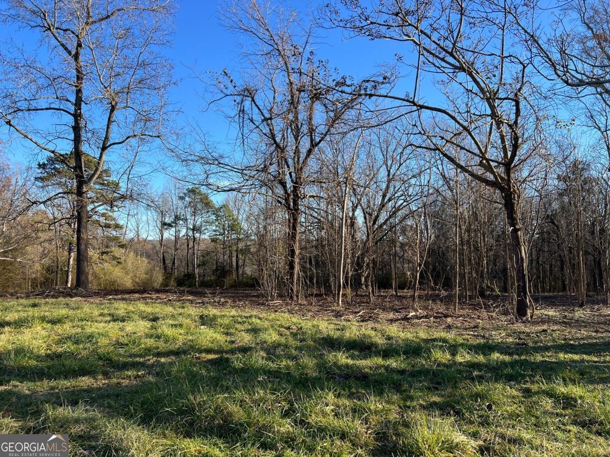 4638 Highway 63 Carnesville - Photo 41