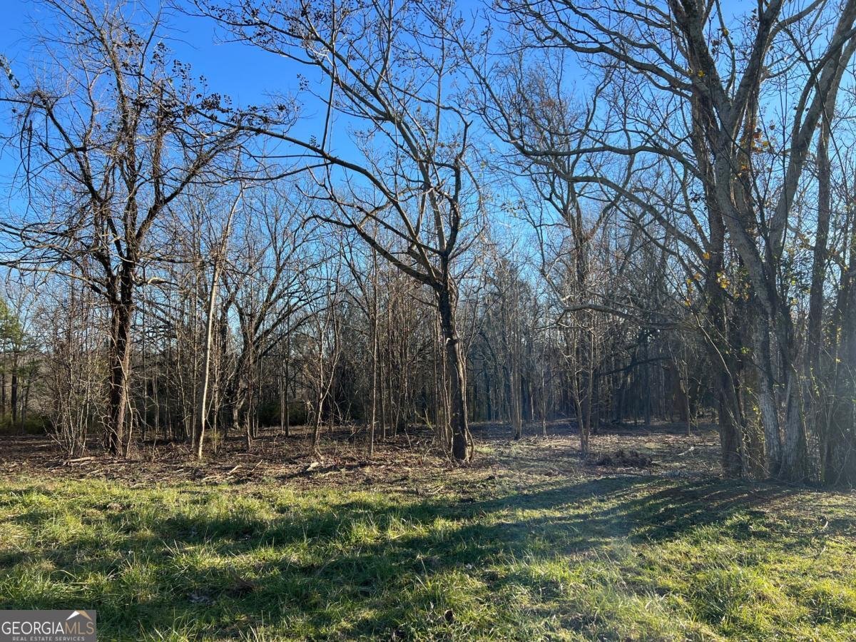 4638 Highway 63 Carnesville - Photo 42