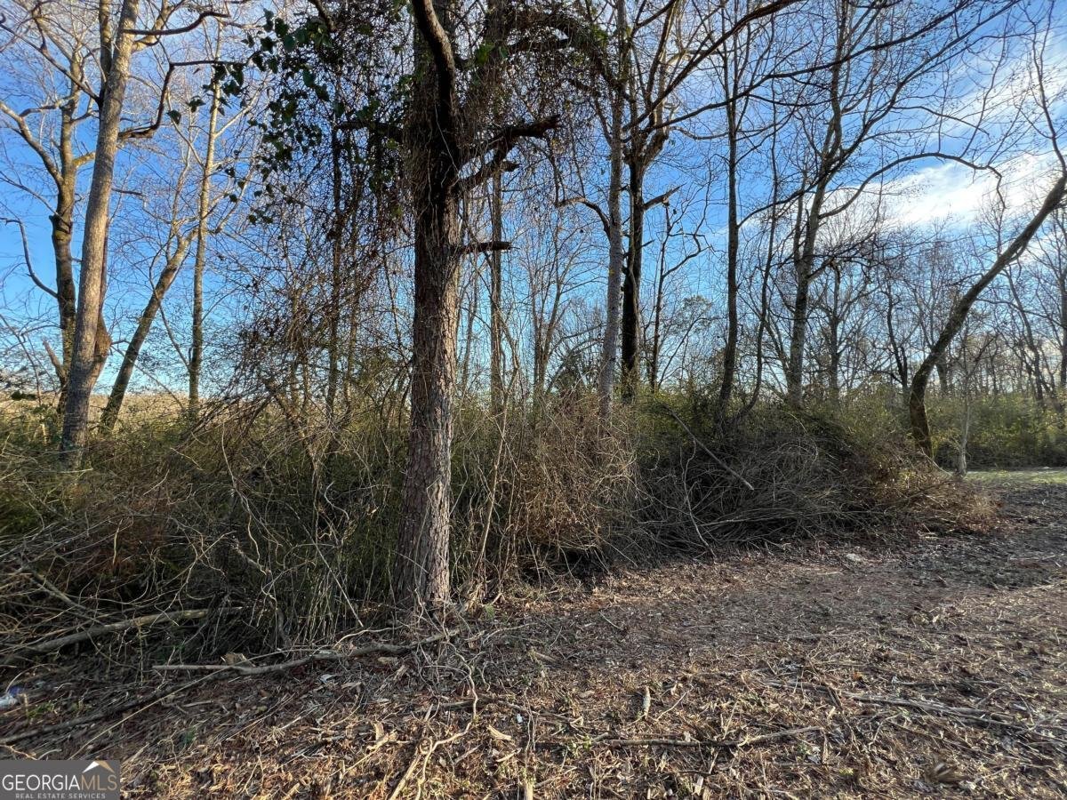 4638 Highway 63 Carnesville - Photo 44