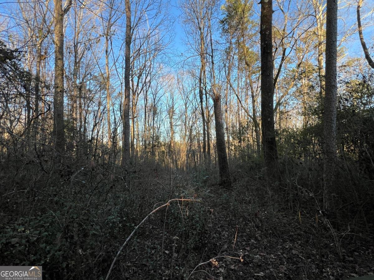 4638 Highway 63 Carnesville - Photo 46