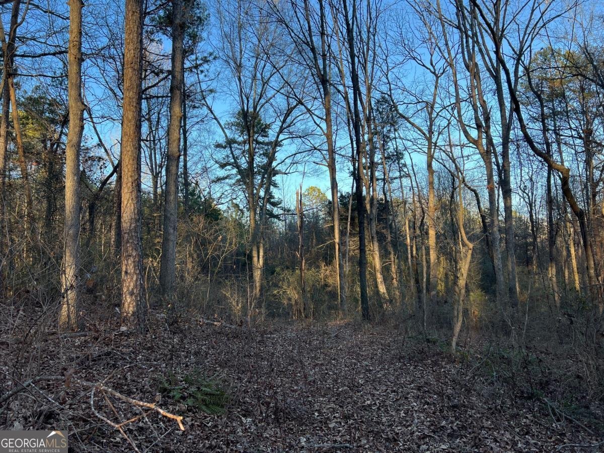 4638 Highway 63 Carnesville - Photo 51