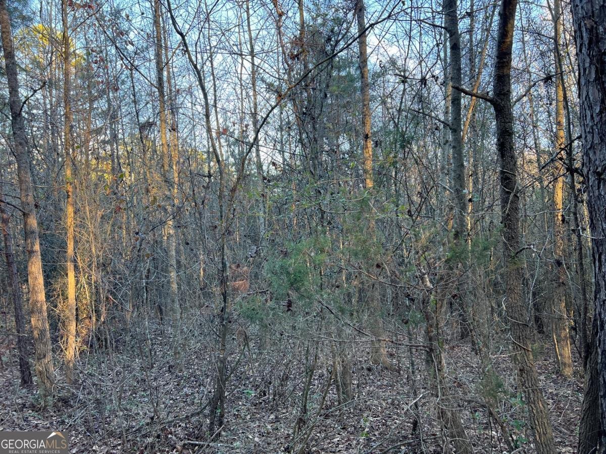 4638 Highway 63 Carnesville - Photo 54