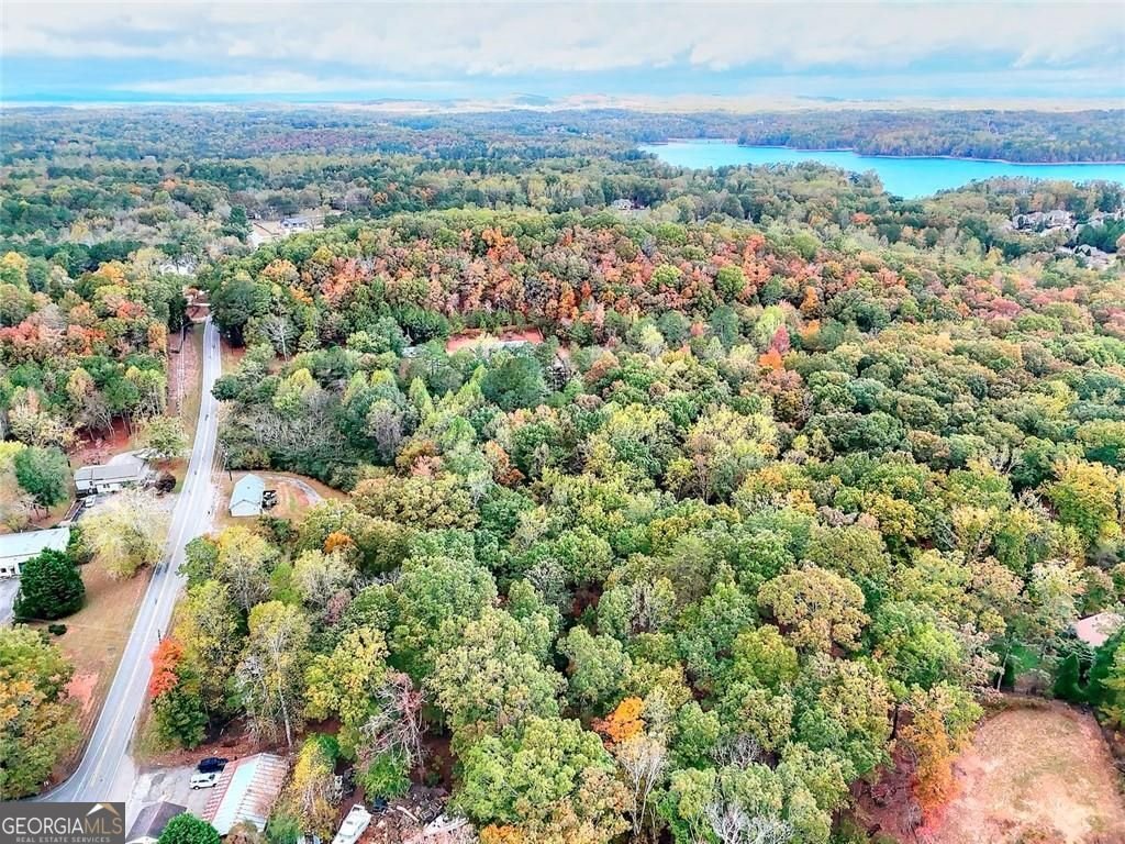 6705 Shady Grove Road Cumming - Photo 23