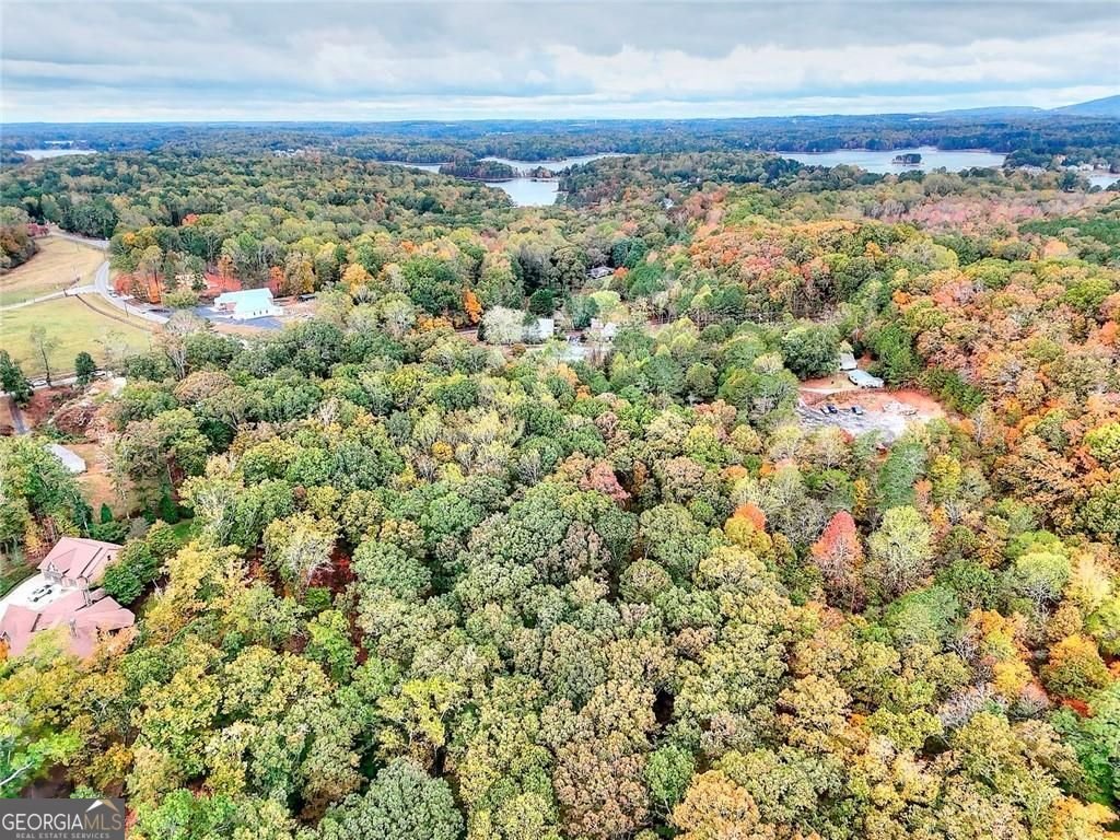 6705 Shady Grove Road Cumming - Photo 26