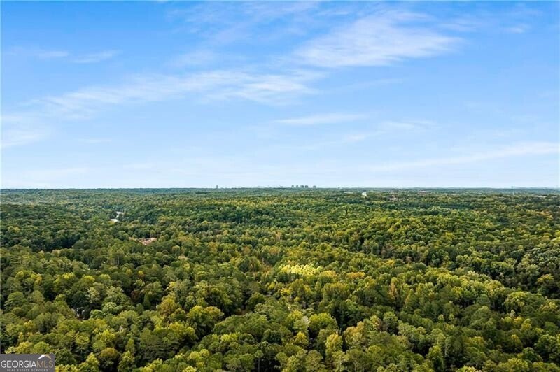 5010 River Rapids Drive Roswell - Photo 44