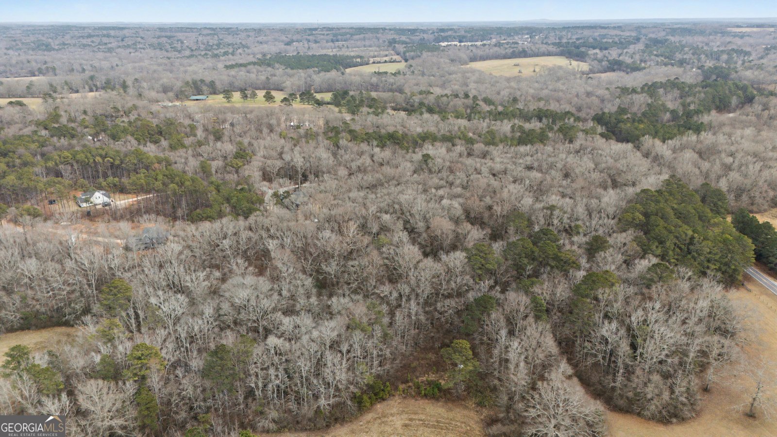 1501 Williamson Zebulon Road Williamson - Photo 39