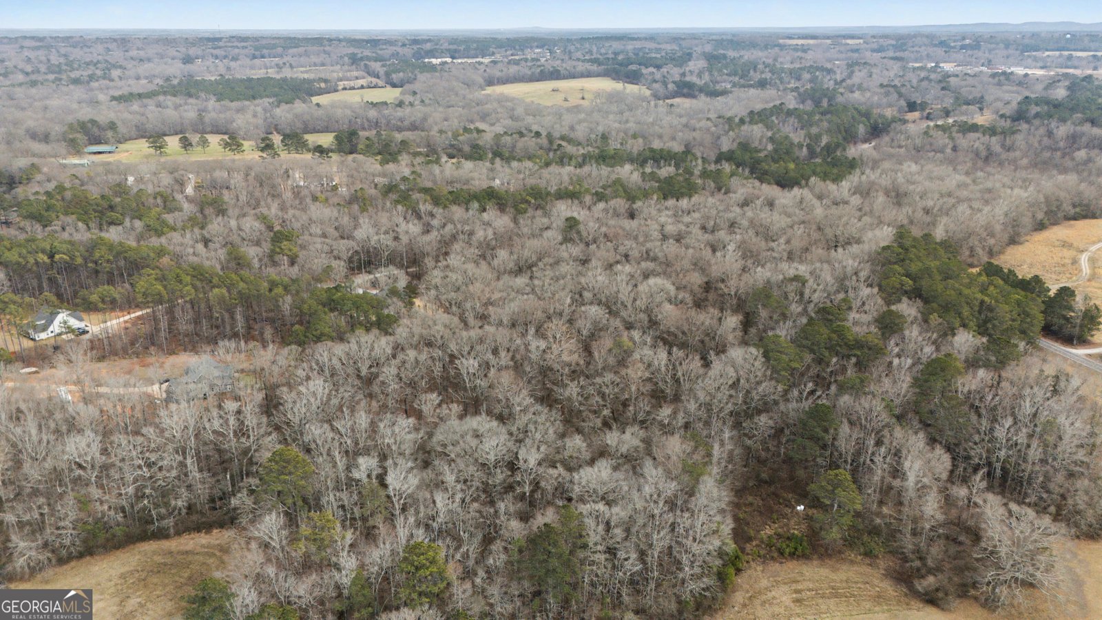 1501 Williamson Zebulon Road Williamson - Photo 40