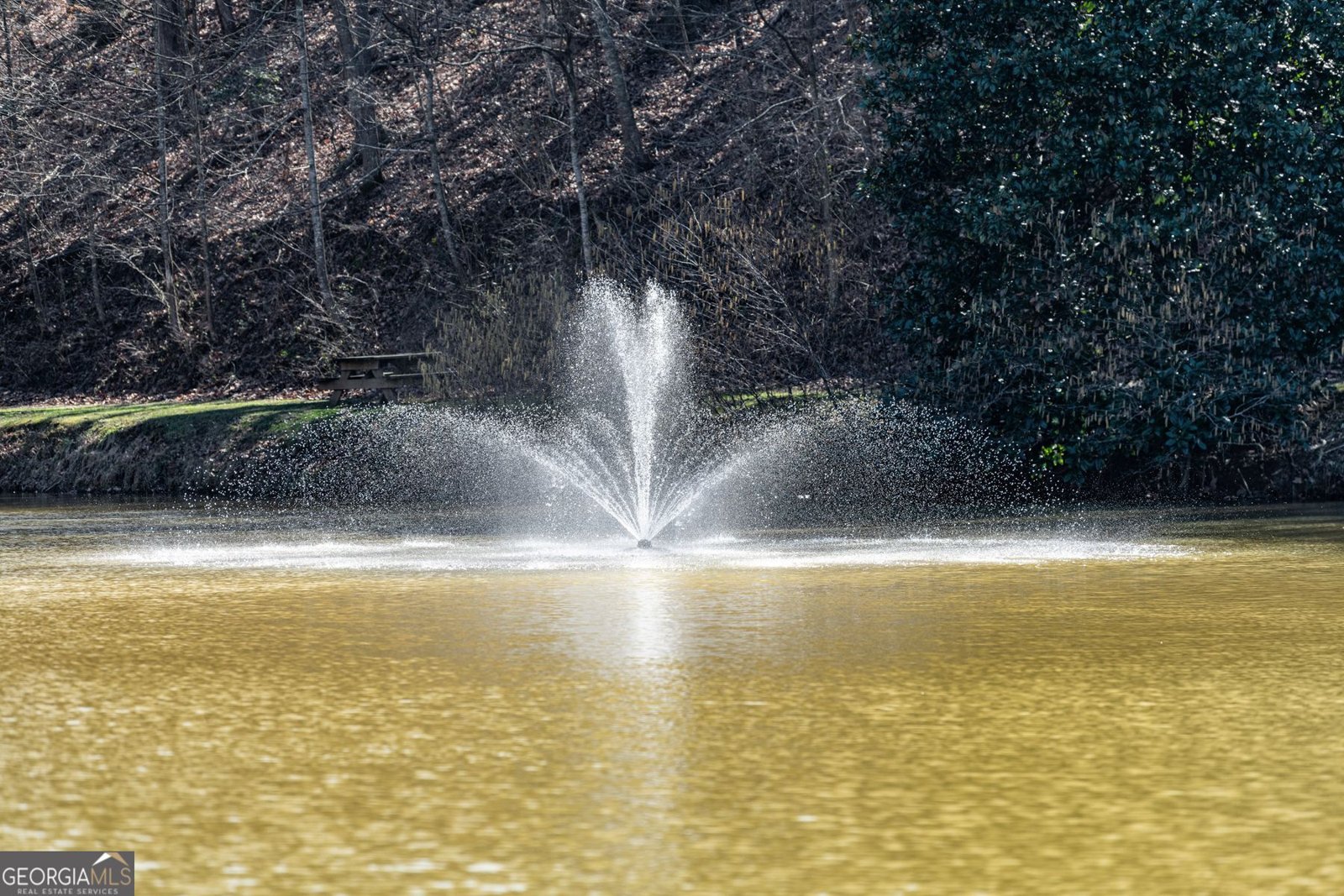 56 Elmwood Circle Ellijay - Photo 40