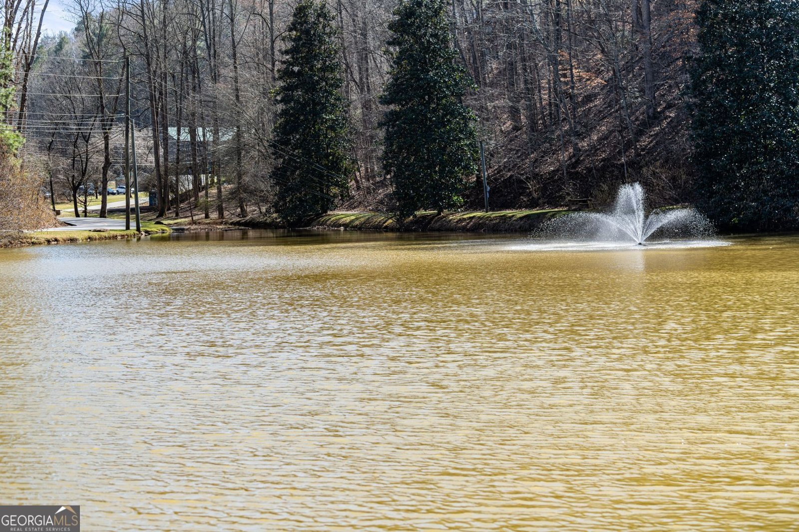 56 Elmwood Circle Ellijay - Photo 41