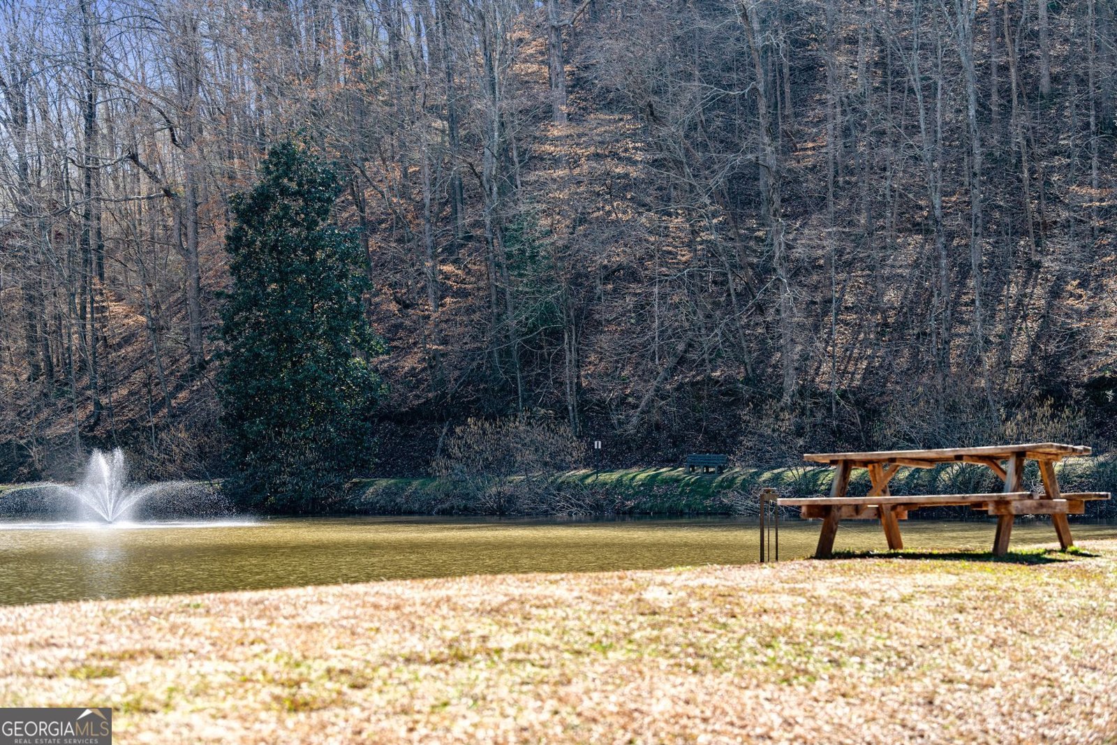 56 Elmwood Circle Ellijay - Photo 43