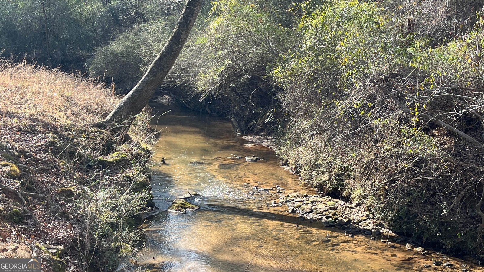 523 Fredonia Church Road Barnesville - Photo 66