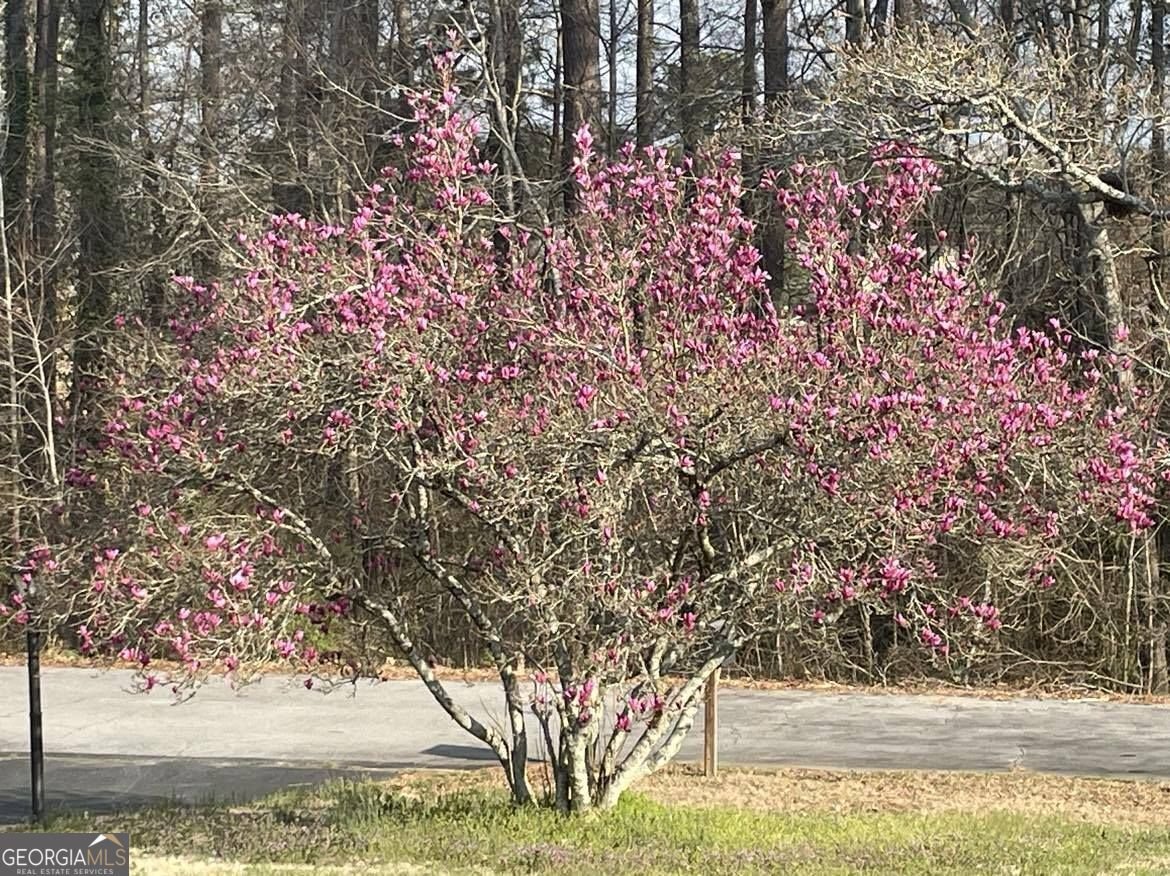 110 Lilly Valley Road Bowdon - Photo 16