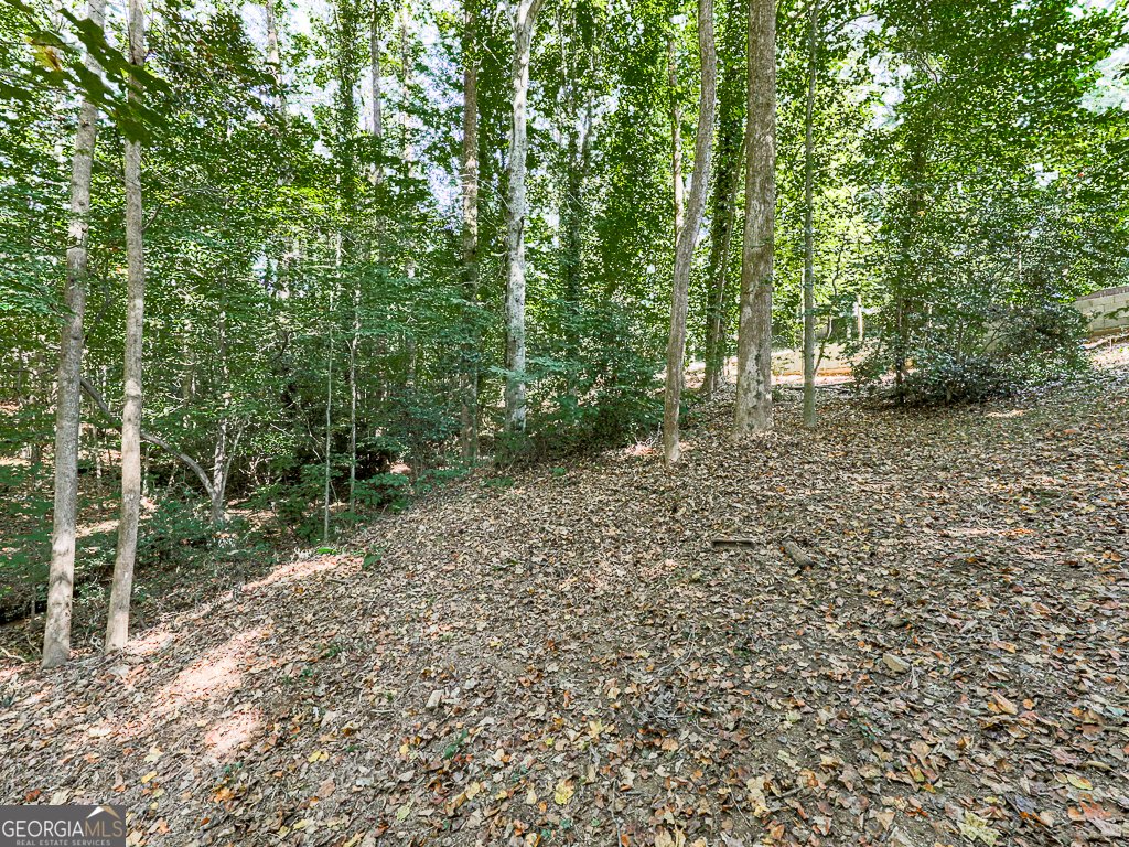 1564 Bubbling Creek Road Brookhaven - Photo 8