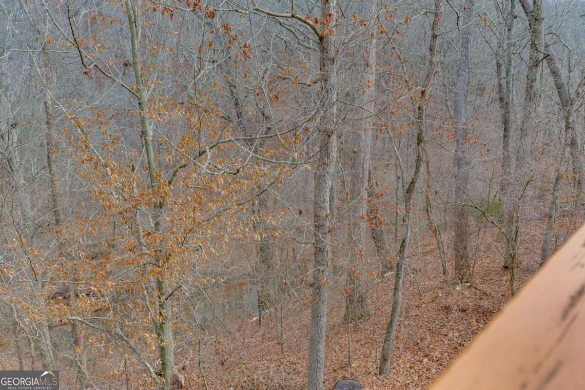 124 Edgewater Court Braselton - Photo 47